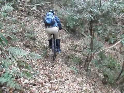 星田山、よせばいいのに・・・