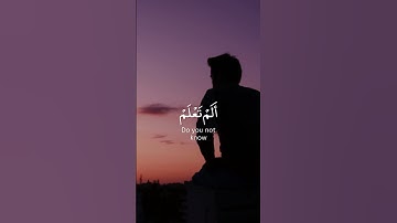 ألم تعلم أن الله على كل شيء قدير - القارئ رعد الكردي