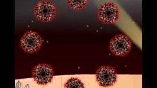 Full Darkness (Soft) screenshot 1