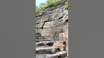 Do you believe? #geology #geologists #shorts #shortvideo #cross #bedding #structure #explore #wow