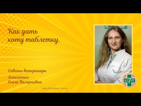 Видео: Португалско водно куче: описание на породата