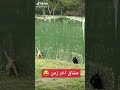 عشق آخر زمان ههههه