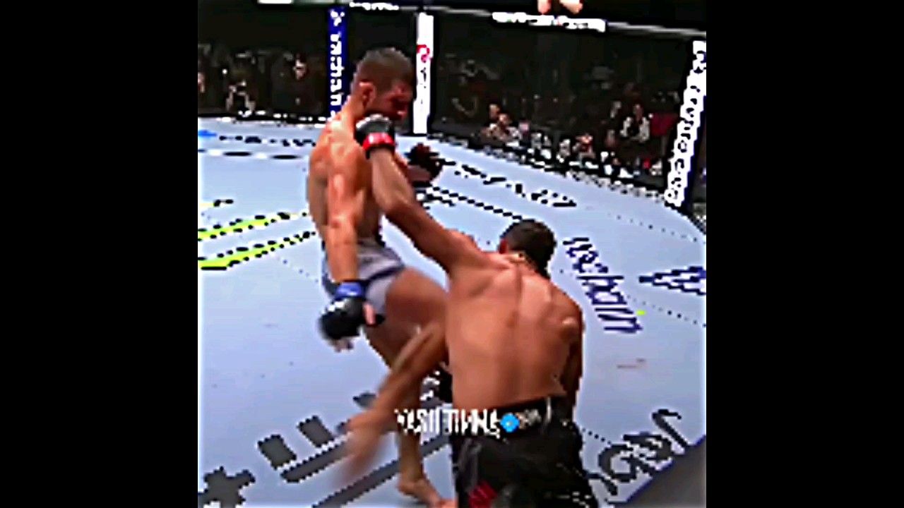 Бенил Дариуш чуть ли не нокаутировал Матеуша Гамрота🤯😍