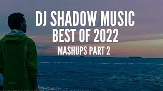 BEST OF 2022 • DJ Shadow Music (Mashups - Part 2)
