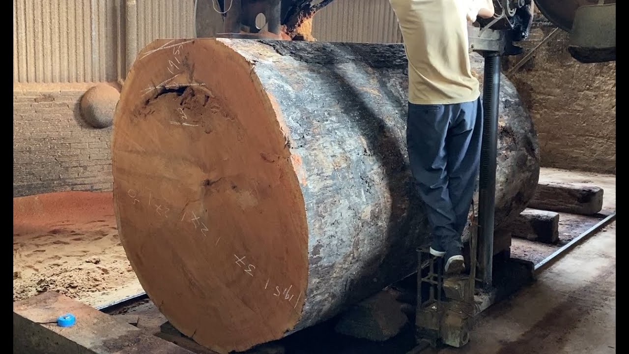 Fastest Large Wood Sawmill Machine Working | Amazing Wood Processing ...