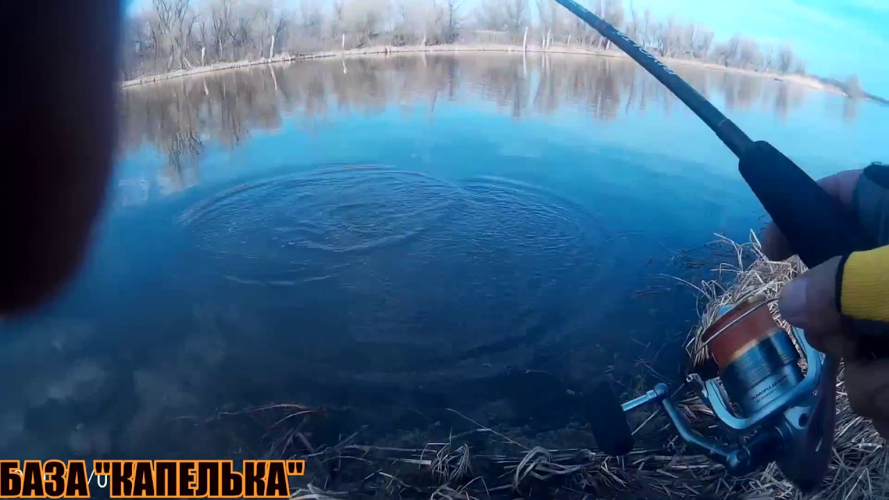 Нижняя волга рыбалка форум