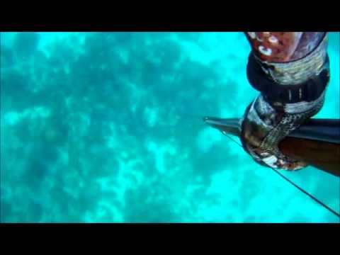 Chasse sous marine - Bahamas - GoPro HD (no music)