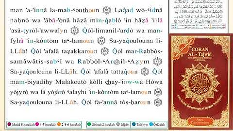 ختمة من مصحف التجويد باللغة الفرنسية الصفحة رقم 347