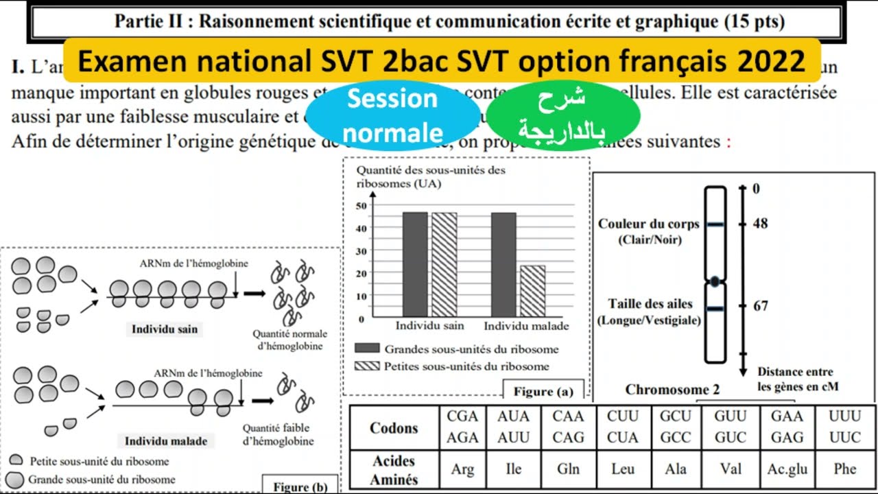 Examen national svt 2bac svt 2022 option français (شرح بالداريجة)