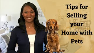 Tips for Selling Your Home with Pets