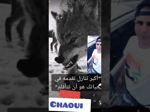 خلطوها تصفا كيما جات جات 