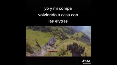 Yo y mi compa volviendo a casa con las elytras