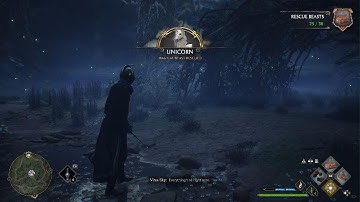 Hogwarts Legacy how to get a male and female unicorn