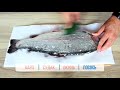 Как чистить любую рыбу? Новая рыбочистка LuxFish 2M