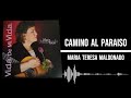 Maria Teresa Maldonado - Camino Al Paraiso (Audio Visualizer)