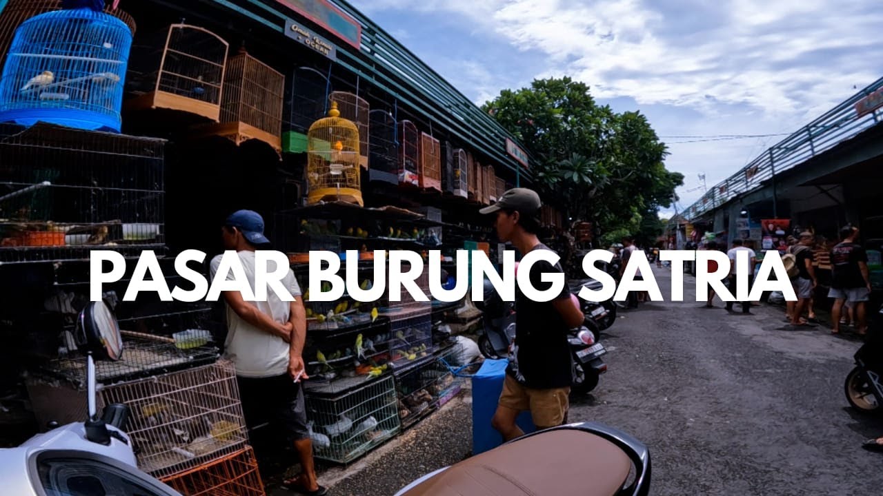 Real Life Tour - Satria Bird Market in Bali