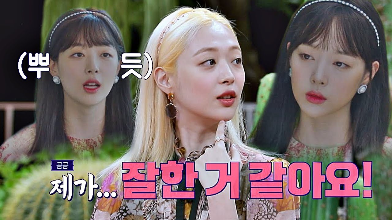 ＜호텔 델루나＞ 출연한 설리(Sulli)， 악플 없는 기사에 ＂제가 잘한 듯ㅎ＂ 악플의 밤(replynight) 10회
