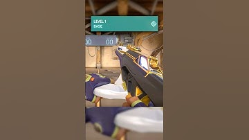 Cursed Random Skins on VALORANT in Level 1 | Prime Vandal