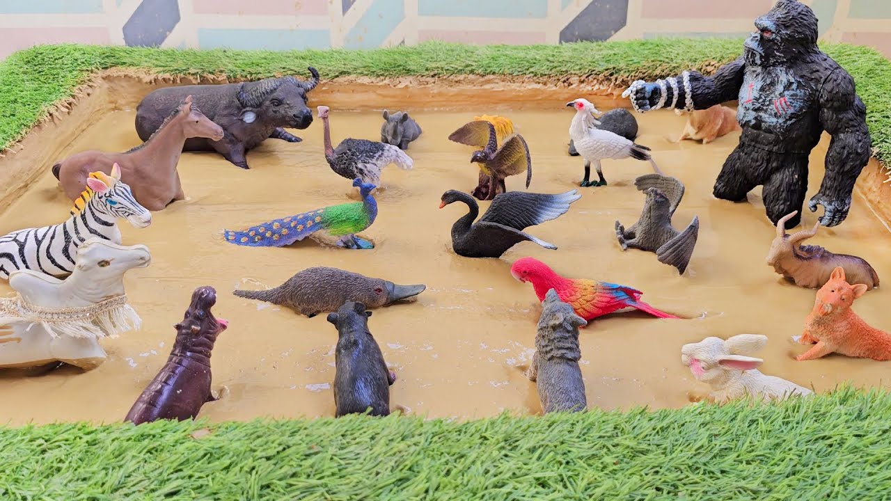 A Riveting Exploration of Pack Animals and Their Incredible Social Structures!