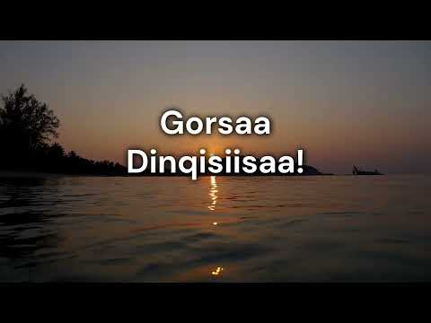 Gorsaa Dinqisiisaa