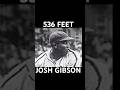 Josh Gibson’s 536-Foot Home Run | The “Black Babe Ruth”