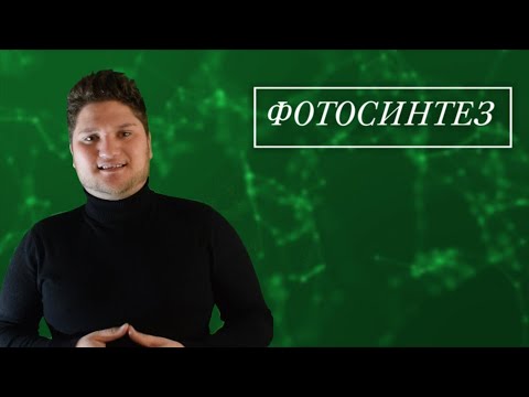 ЕСТЕСТВОЗНАНИЕ 5 КЛАСС  ФОТОСИНТЕЗ