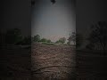 #youtubeshorts #shortvideo