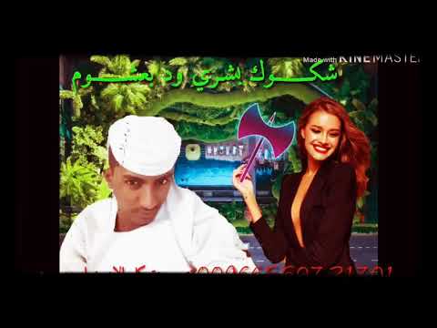 شكوش بشري ود بعشوم