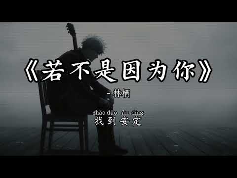 林栖 - 若不是因为你 (抖音完整版)『忘了许久的欢喜，在你真情的眼中里，慢慢想起』氛围感BGM｜抖音最火