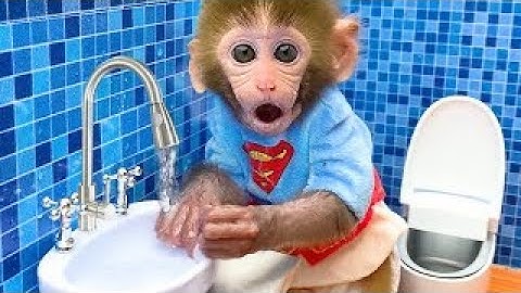 Monkey Baby Bon Bon goes to pick fruit and swim with the duckling | Bon Bon Indonesian