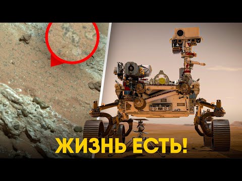 NASA has found traces of life on Mars!