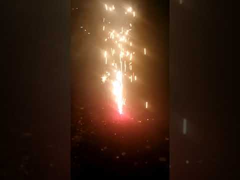 2021 Silvester 2021 Silvester