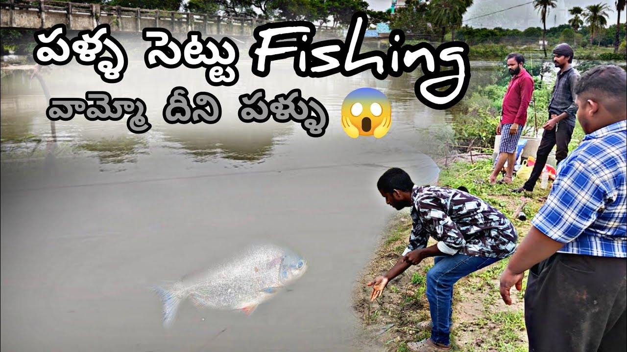 పళ్ళ సెట్టు చేపలు పట్టినం | chenduva chepalu pattinam ఒక్క చేప 2kg ఉన్నాయి 