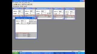 Set up for modscan 32 input register in RG2 06