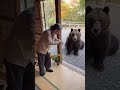 熊にガチ説教するおばあちゃん