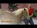 A Pet Psychic Tells a Horse's Life Story | The Oprah Winfrey Show | Oprah Winfrey Network
