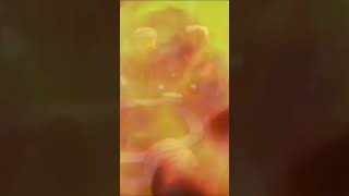 Böyle Başladı Böyle Bitti