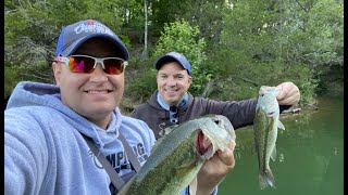 How Many Fish Can We Miss??? Norris Lake TN, Late Spring Bite!