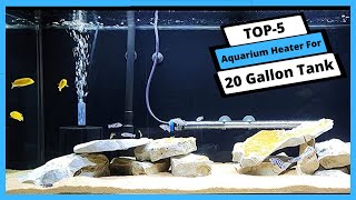 ✅ Best Aquarium Heater For 20 Gallon Tank: Aquarium Heater For 20 Gallon Tank | [Tested & Reviewed]