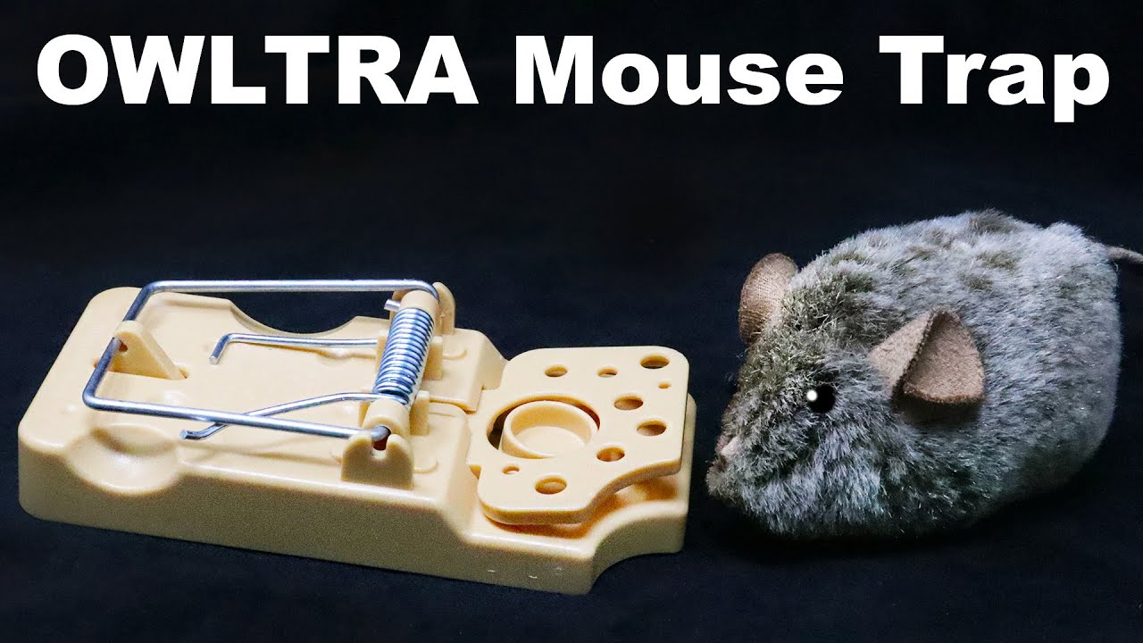 The Newly Designed Victor Electronic Mousetrap. Mousetrap Monday