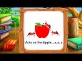Video Tutorial Quiz