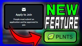 How To Use Discord's New Server Application Feature! | Discord Guilds Updates! | Future of Guilds