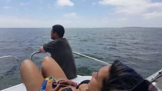 Having fun on Seacat 565fc