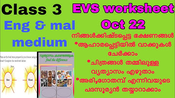 Class 3 Evs worksheet oct 22/ kite victers std 3 Evs worksheet 22/10/20/ 3rd std Evs worksheet