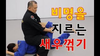 비명을 지르는 앵클락 거는법- 다리들어 메치기에서 공포의 허리꺾기