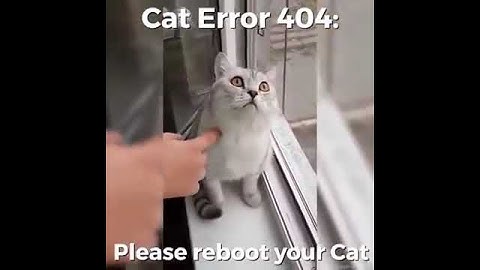 Cat Error 404 - please reboot your cat