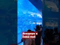 Aкула в аквариуме! Shark in the aquarium