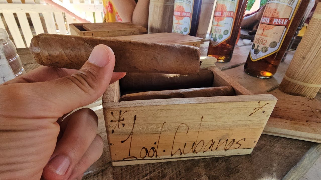 Am văzut cum se fac 