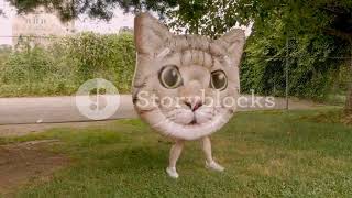 Videoblocks Woman With Bare Legs Holding A Large Inflatable Cat Head Dancing Outside In A Park Celeb