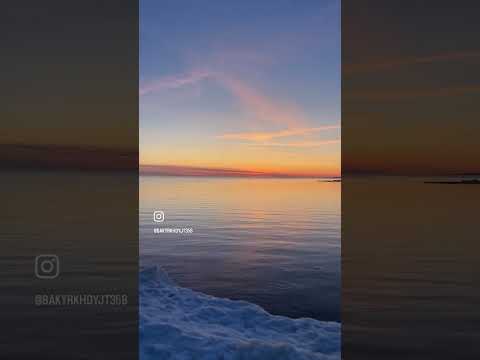 أنا اسفة لنفسي